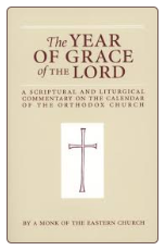 Book: The Year of Grace of the Lord